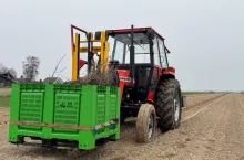 Materiał nasadzeniowy w kistenie na przodzie, sadzarka na tylnym TUZ-ie