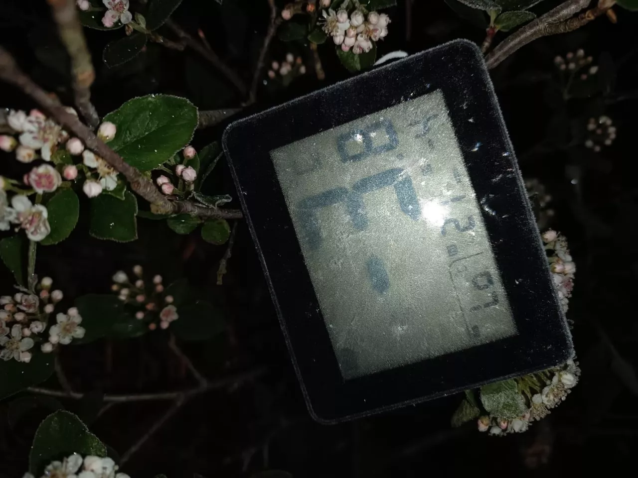 Zimna noc w północnej Wielkopolsce