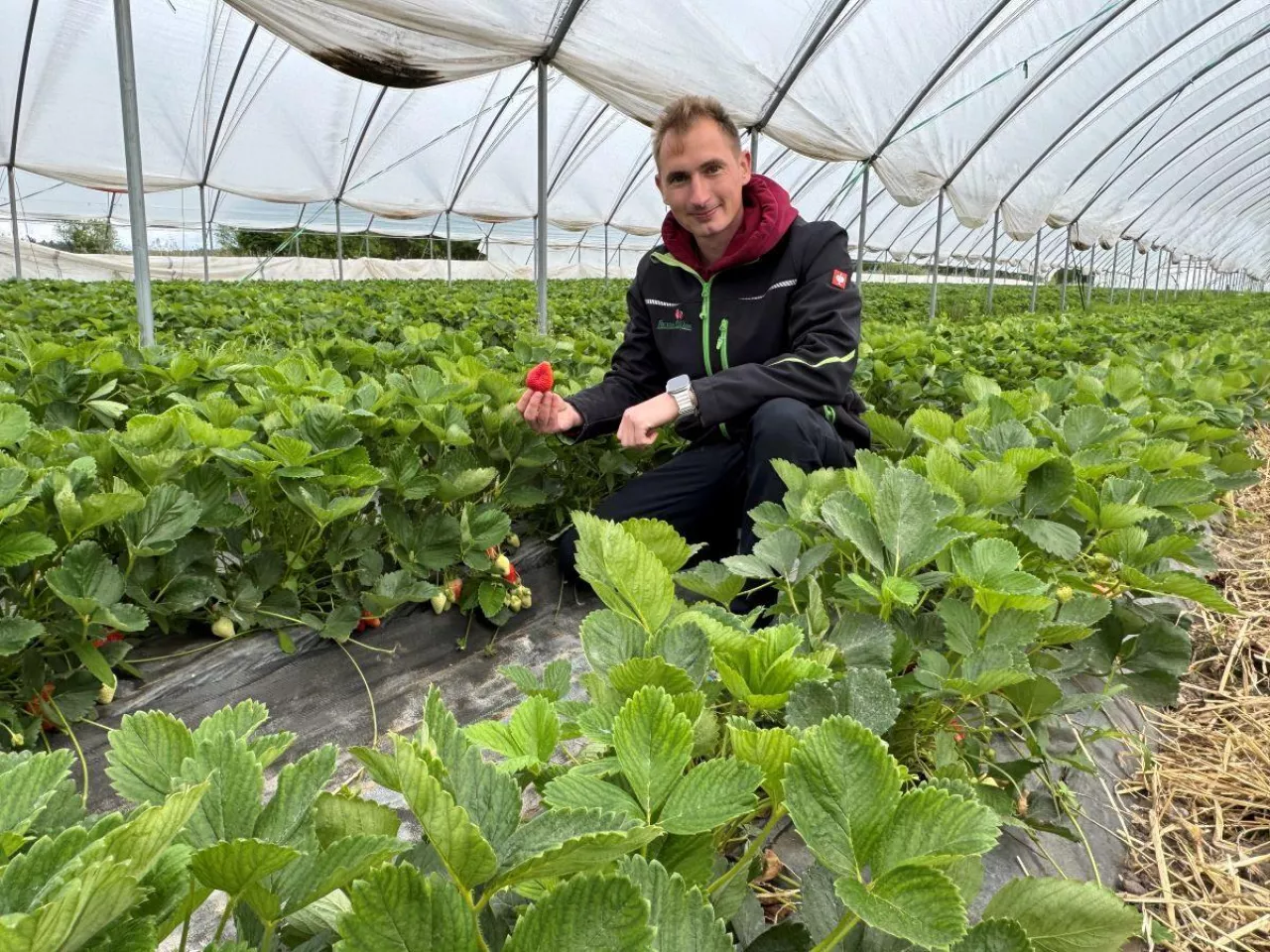 Mateusz Maruszewski, Farma Mój Owoc