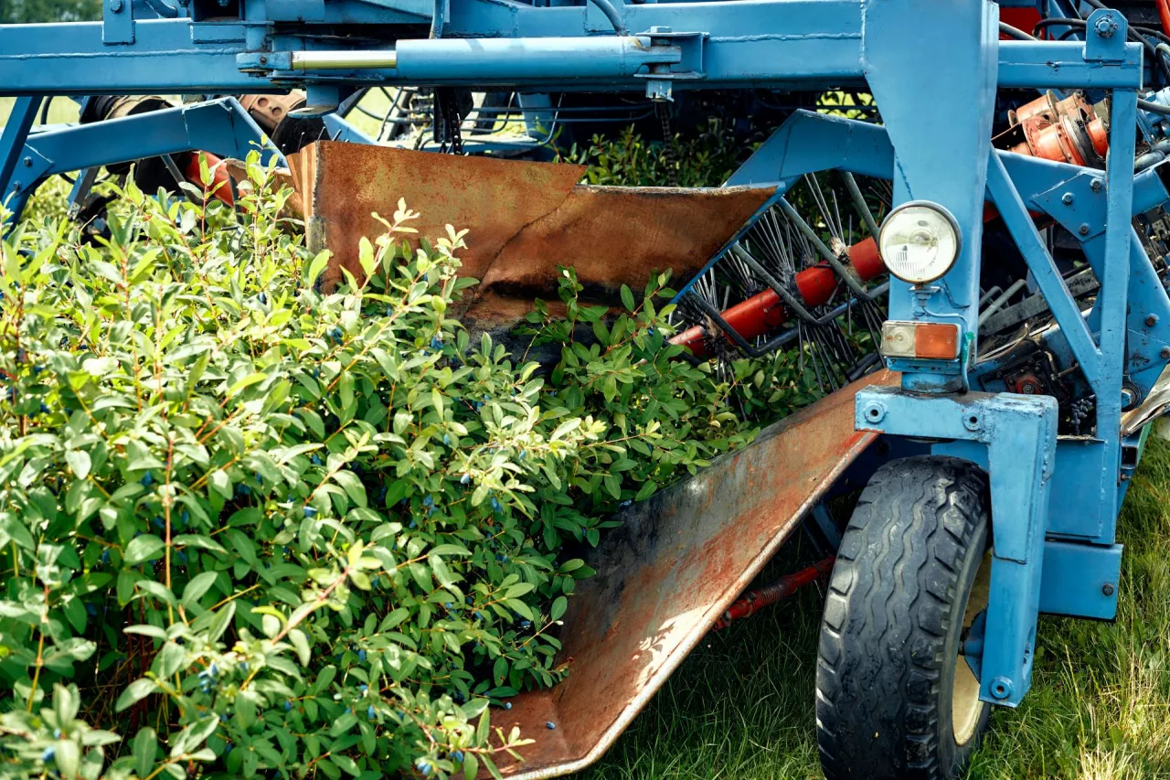 A hightech agricultural machine is operating in a lush green field, harvesting crops on a sunny day, showcasing efficiency and modern farming technology