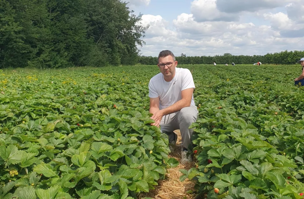 Damian Fudecki, Stowarzyszenie Plantatorów Truskawki