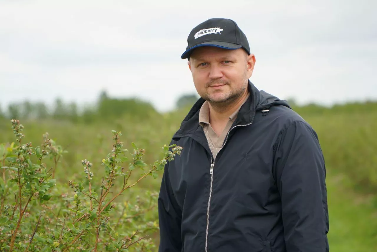Mateusz Czok, Pro Berry