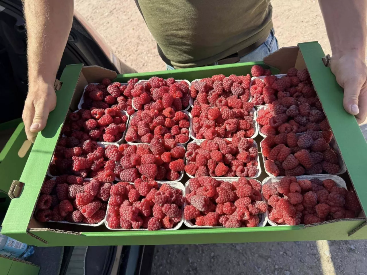Maliny sprzedawane na Giełdzie Goławin