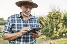Senior farmer browsing mobile phone while standing on apple farm