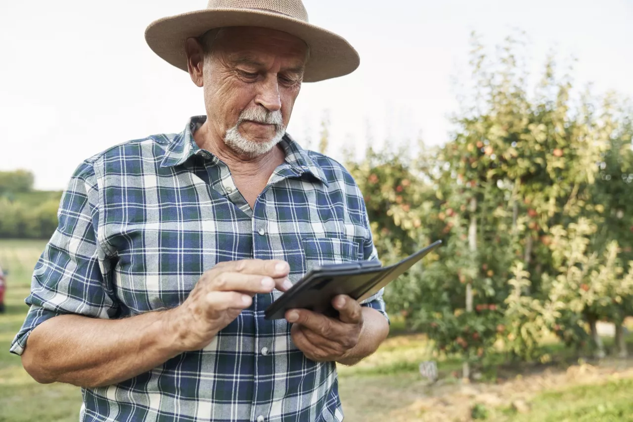 Senior farmer browsing mobile phone while standing on apple farm