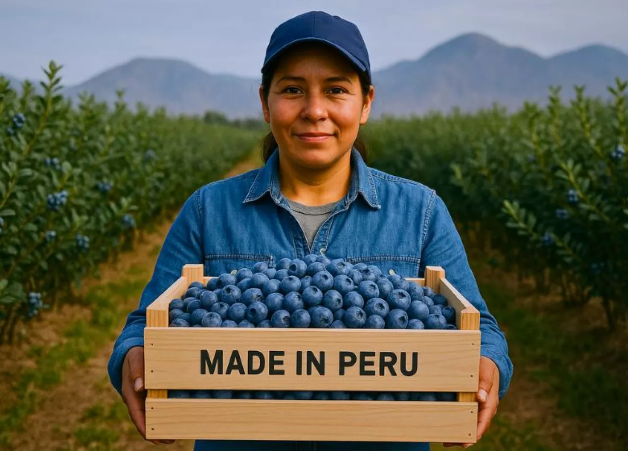 Grafika przedstawia postać rwacza prezentującego borówki w małej skrzynce z napisem Made in Peru