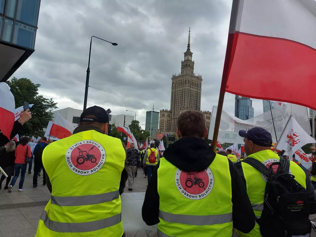 protest rolników, rolnik
