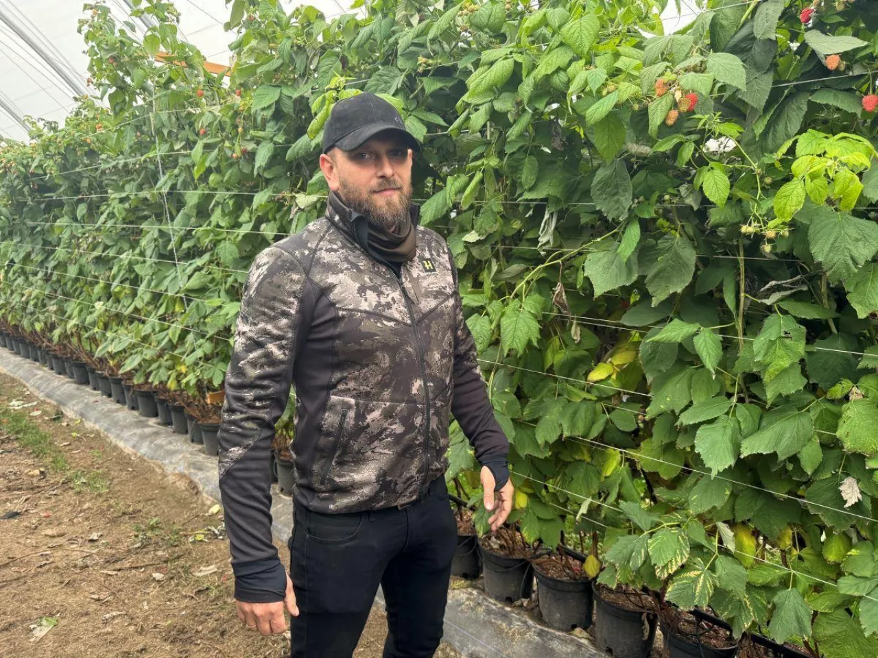 Mateusz Kwiatkowski, Plantacje Jagodowe Kwiatkowscy