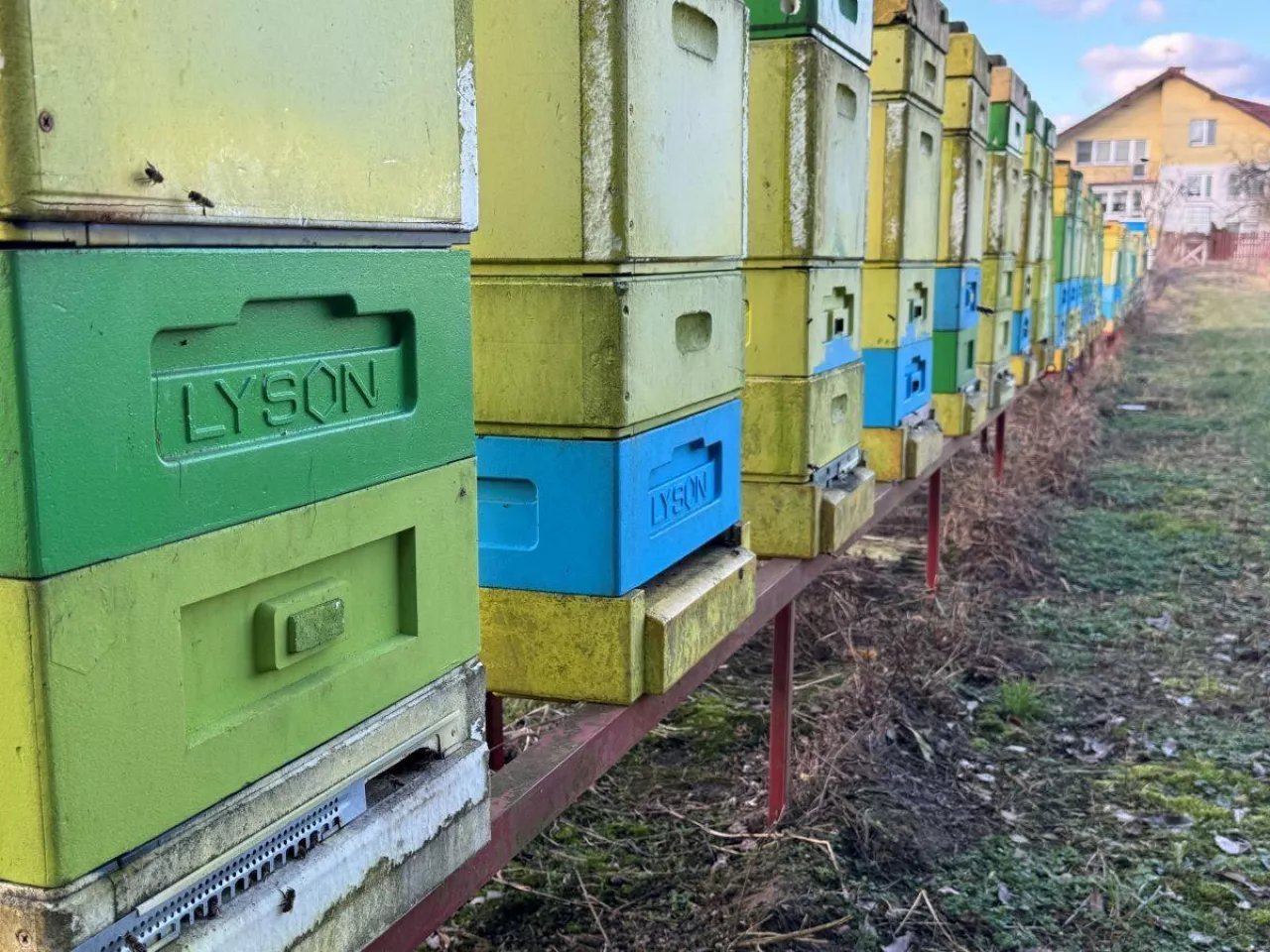 Loty są sporadyczne, to jeszcze nie główny oblot wiosenny