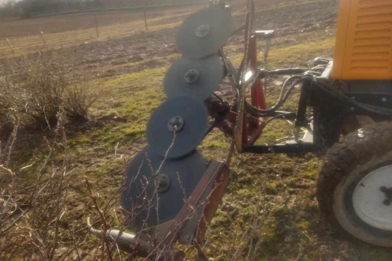 Podcinacz do porzeczek