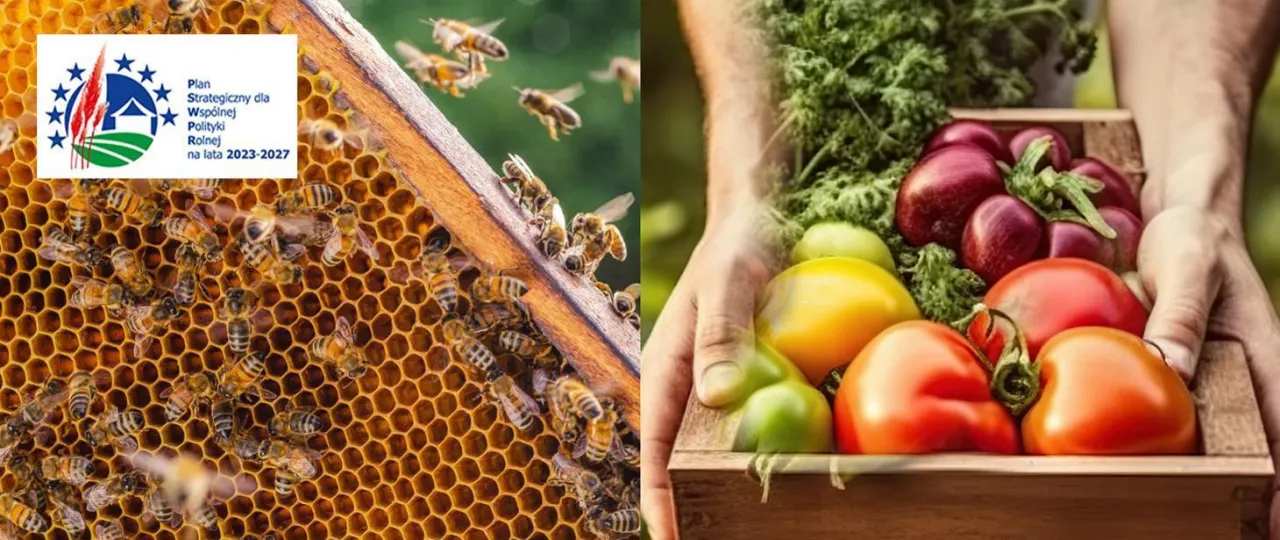 ARiMR przypomina o zbliżającym się zakończeniu naboru wniosków