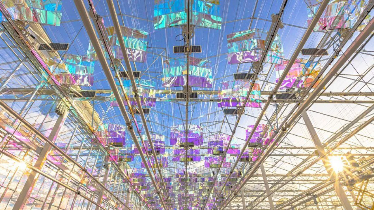 Panele Voltiris służące do odzyskiwania energii w szklarniach