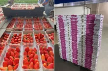 Egipskie truskawki deserowe