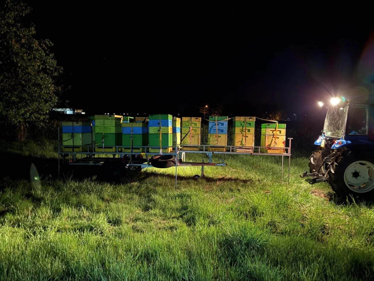 Pasieka wędrowna w trakcie zmiany lokalizacji