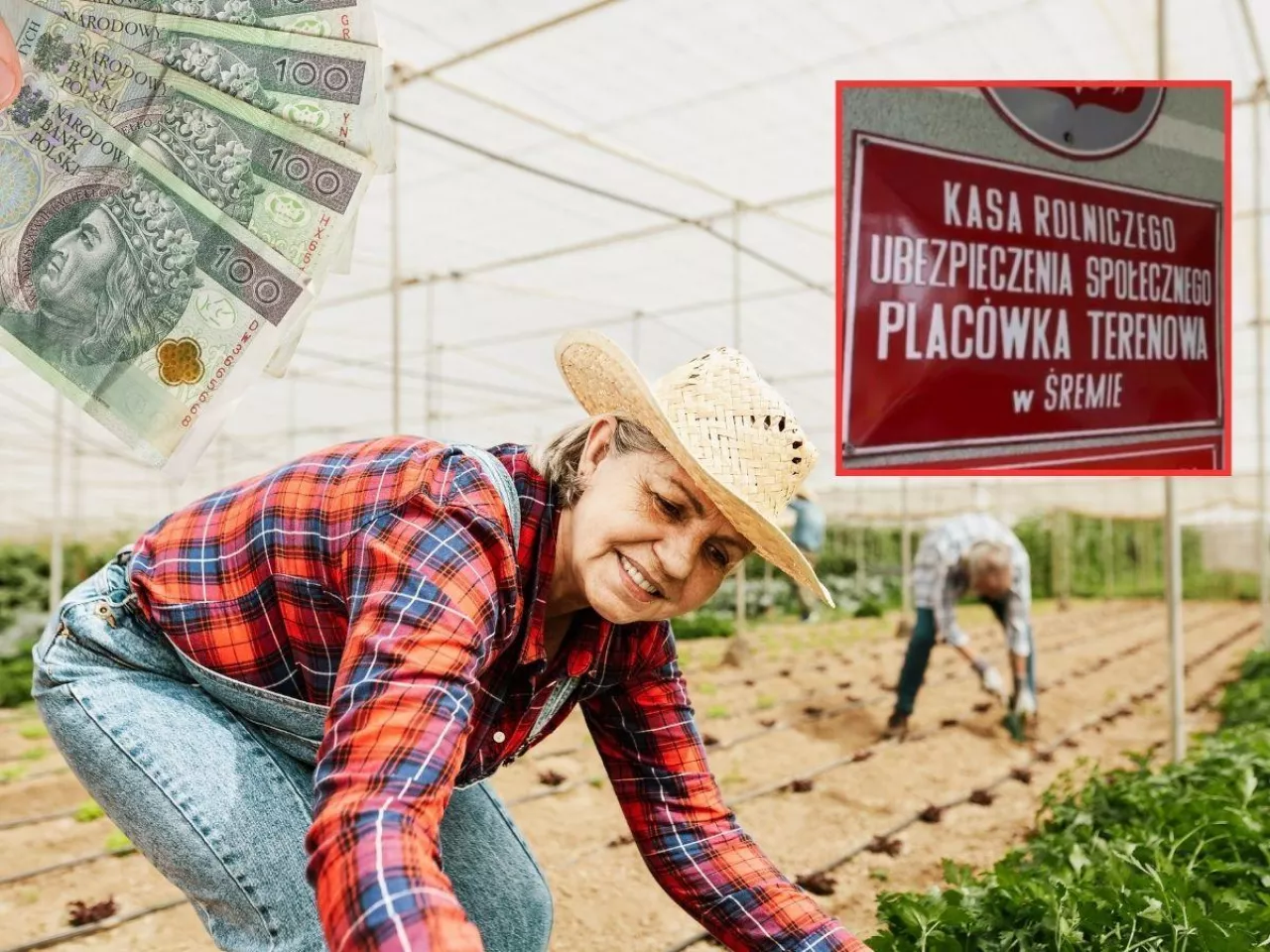 Jaką emeryturę z KRUS dostanie rolnik po 40 latach pracy? Aktualne kwoty