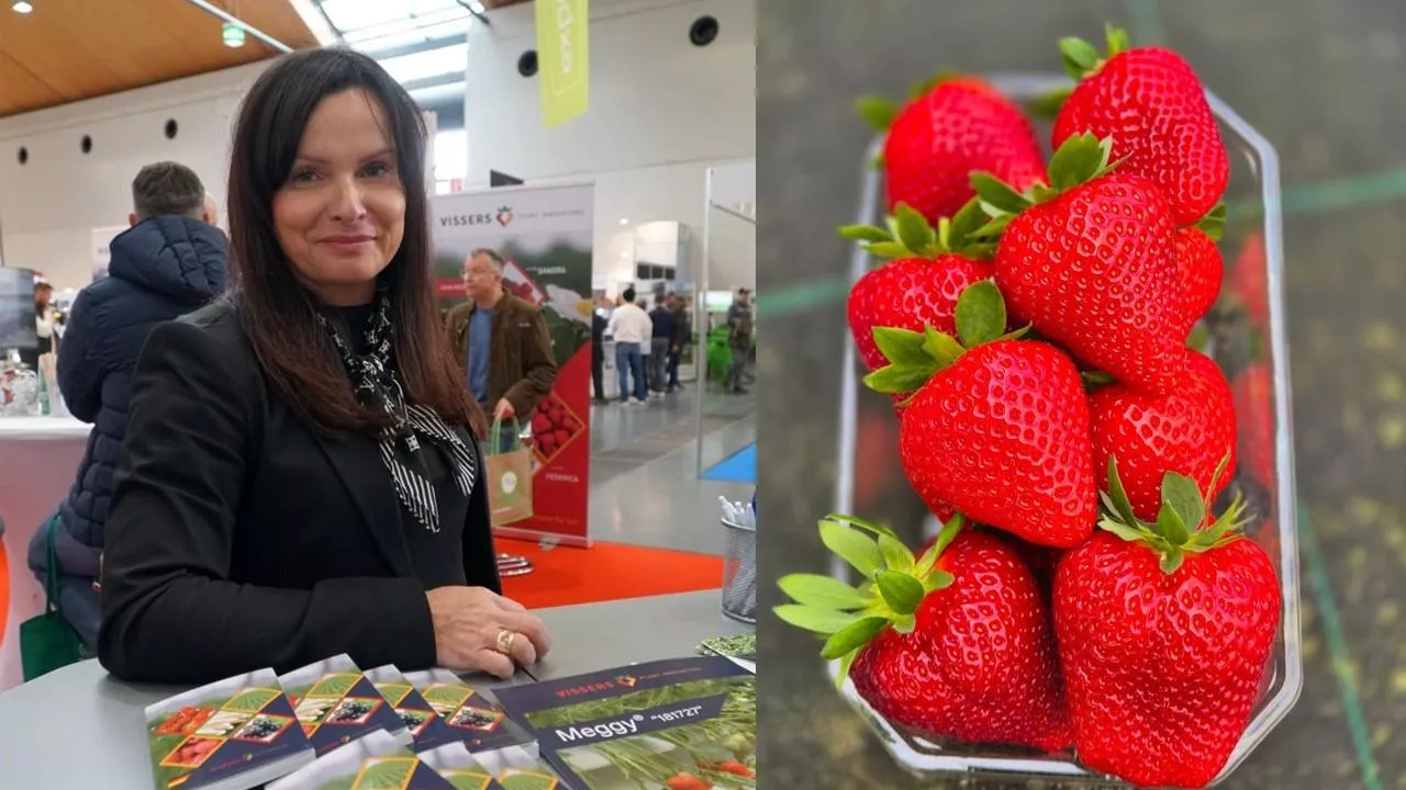 Monika Samolej, Poland Plants, expoSe 2025