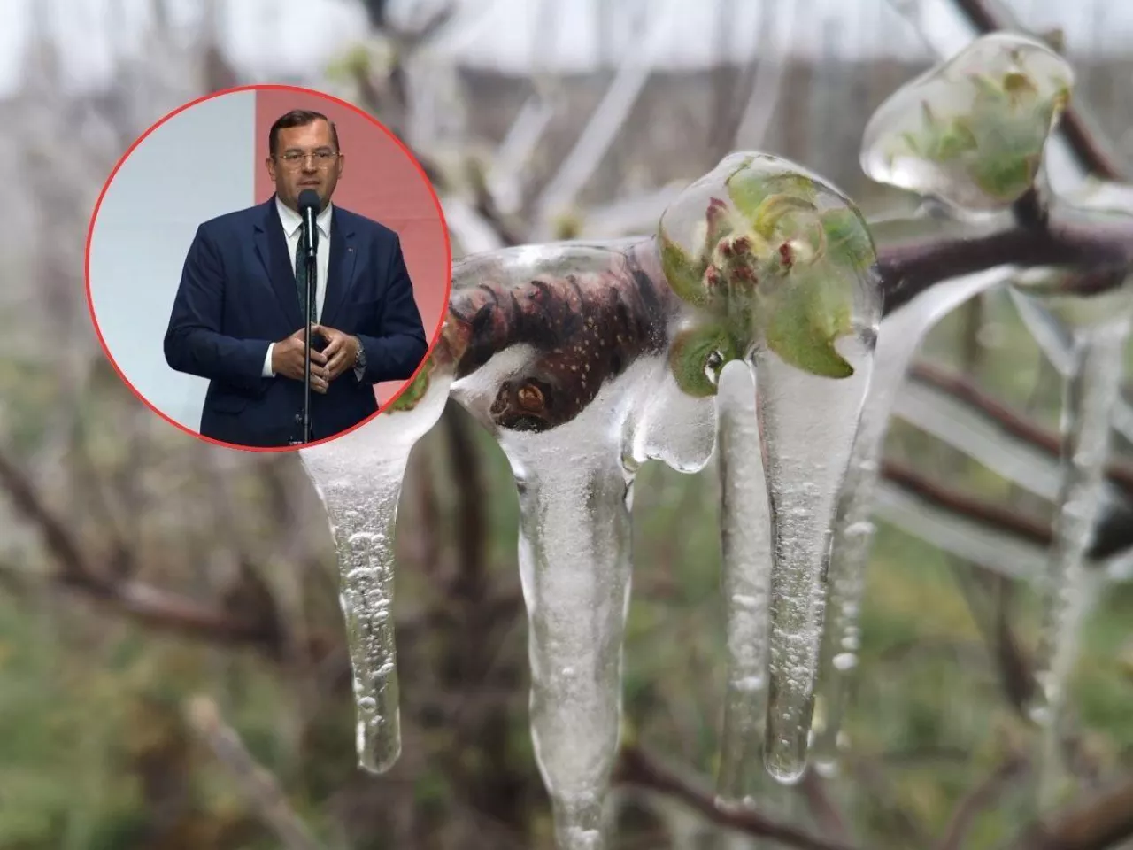 Masz kilka szkód w jednym roku? Sprawdź, co wolno łączyć