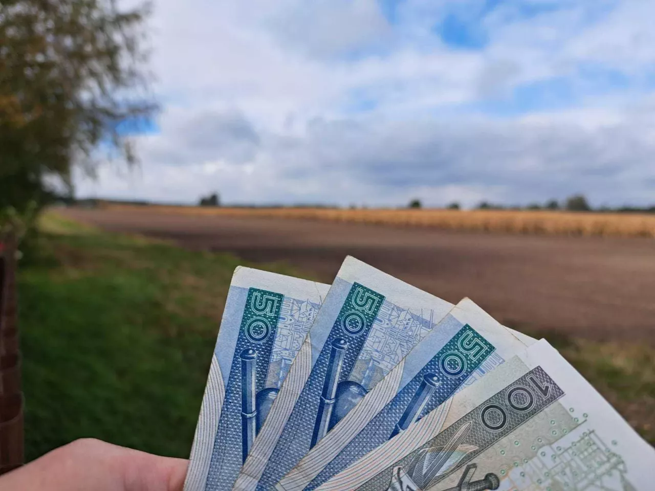 Składki KRUS pod lupą. Drobna pomyłka może słono kosztować rolnika