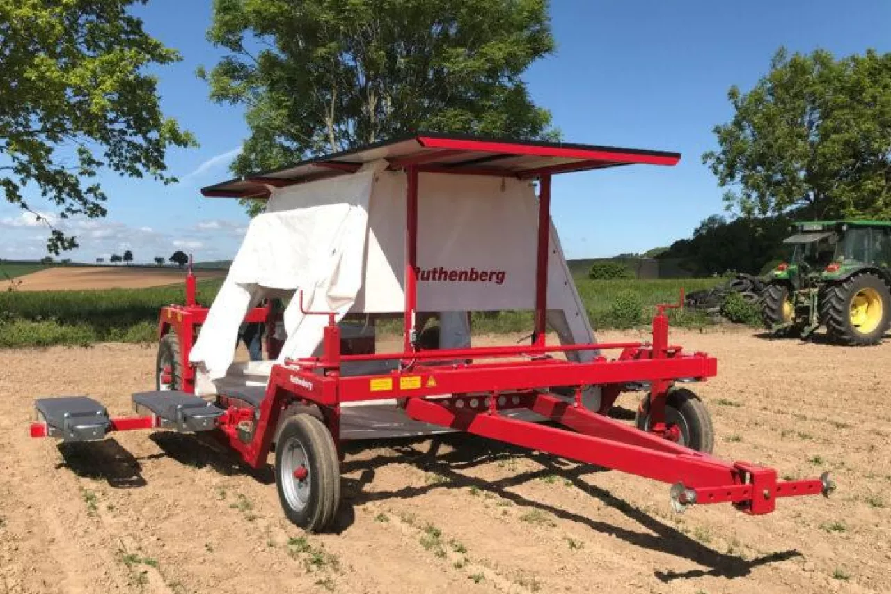 Niemiecki pielnik do truskawek uprawianych w gruncie