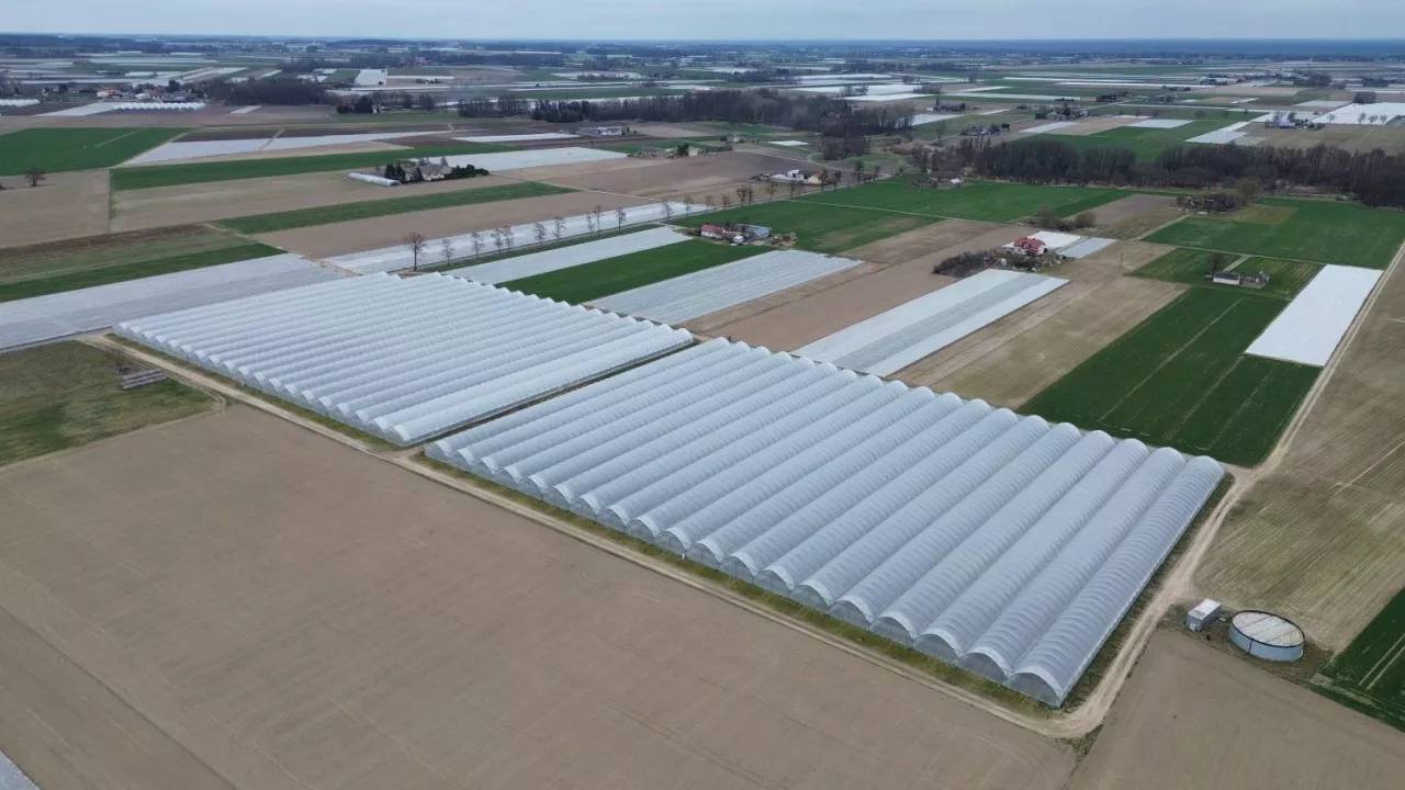 Zblokowane tunele truskakowe