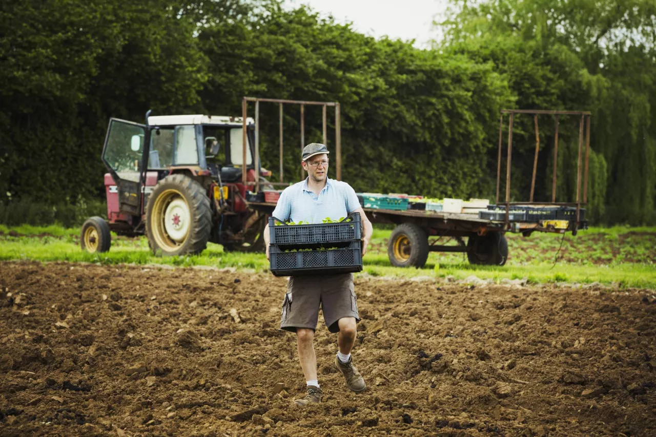 Emerytura rolnicza z zagranicy? Tak KRUS zalicza lata pracy poza Polską