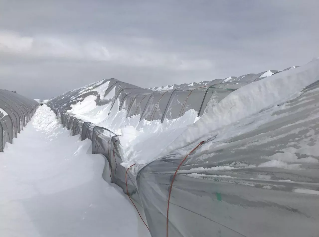 Poważne uszkodzenie tunelu pod wpływem ciężaru śniegu