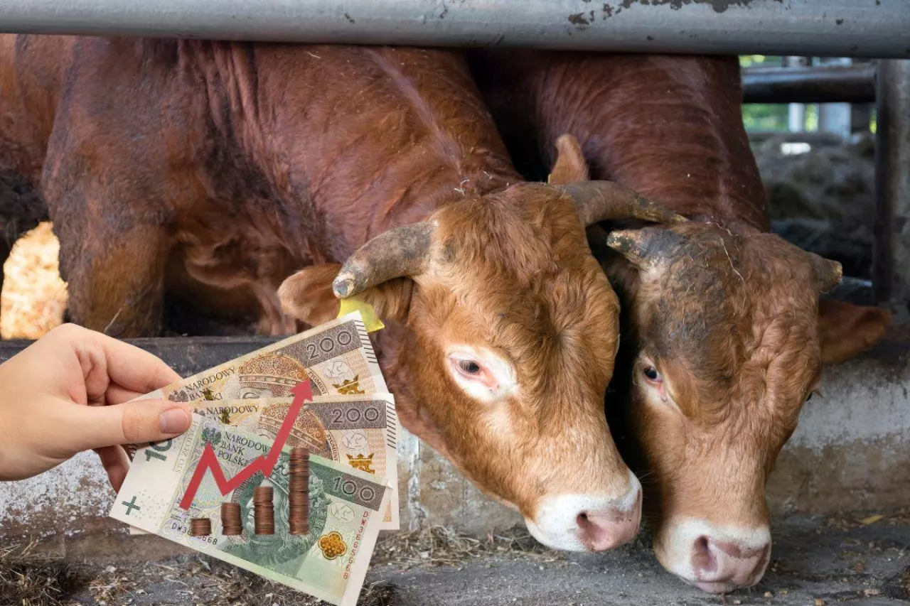 Nowy ekoschemat dla rolników. Ministerstwo ujawnia, kiedy ruszy