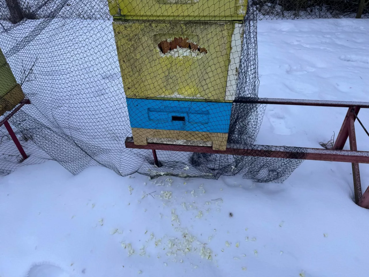 Styrodurowy korpus gniazdowy ula zaatakowany przez dzięcioła