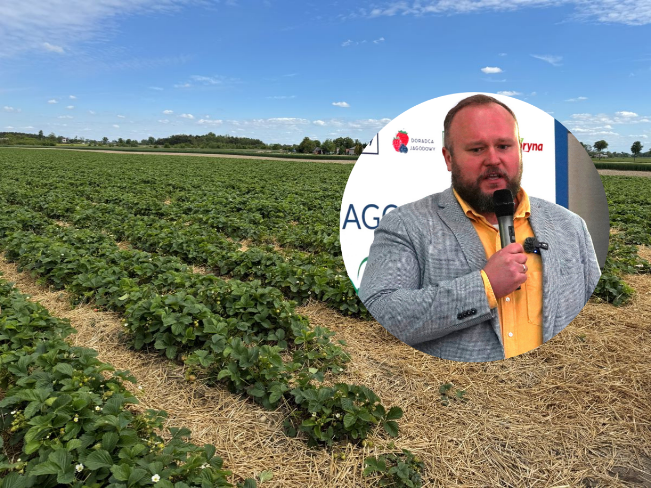Adam Borzęcki z firmy Boryna w trakcie konferencji ”Praktycznie o truskawkach i nie tylko” dzielił się swoimi opiniami o przyszłości branży jagodowej
