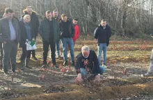 Borówka uprawiana na wysokich zagonach - Piotr Szurek omawia zasady budowy wałów i prowadzenia roślin po posadzeniu