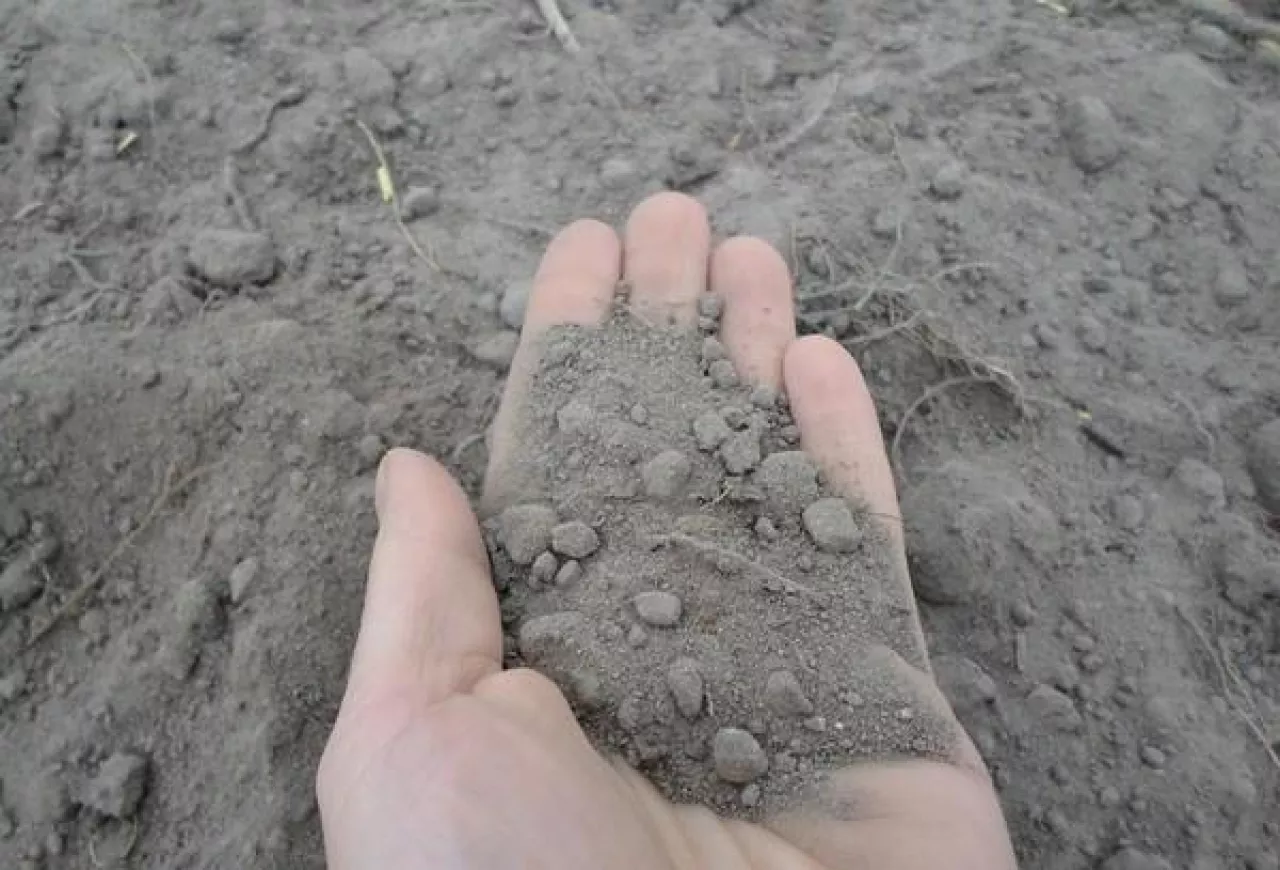 Fot. Katarzyna Szulc