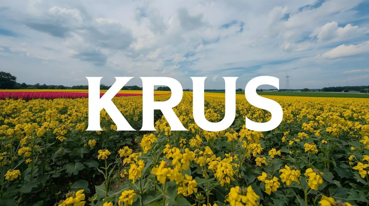 Nowe składki KRUS na II kwartał 2026. Ile zapłacą rolnicy?