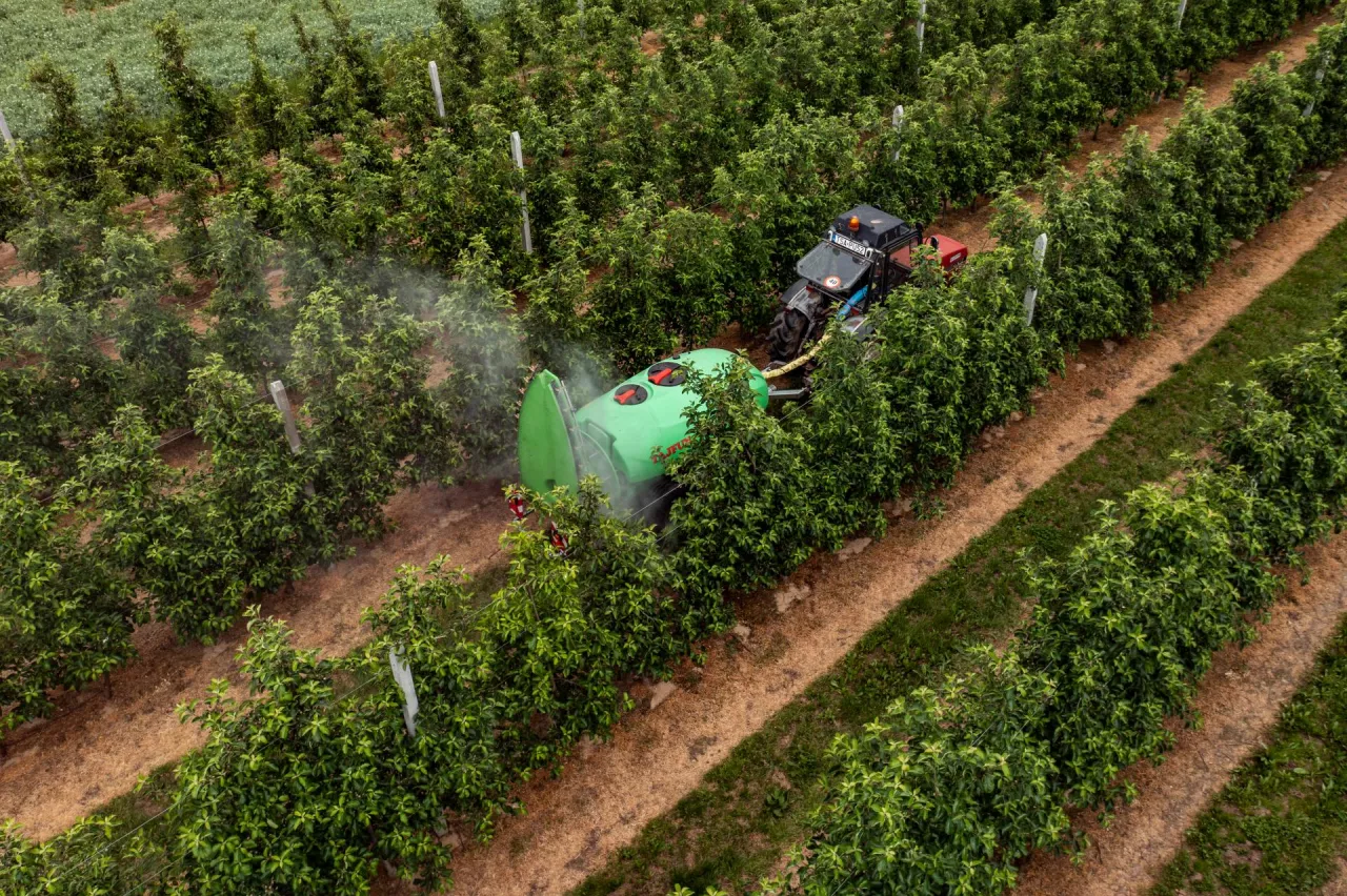 Opryskiwacz sadowniczy Tajfun