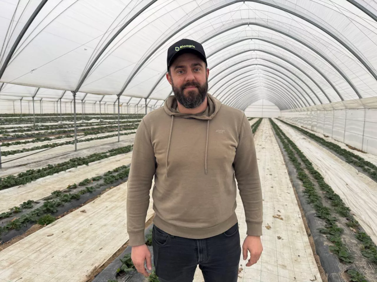 Szymon Kamiński, plantator truskawek, Jajkowice