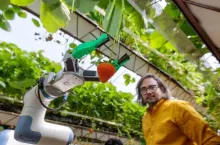 Robot do zbioru truskawek