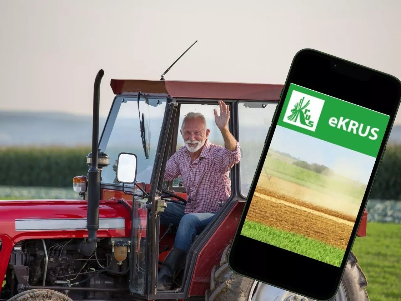 rolnik w traktorze na polu, obok telefon z aplikacją eKRUS