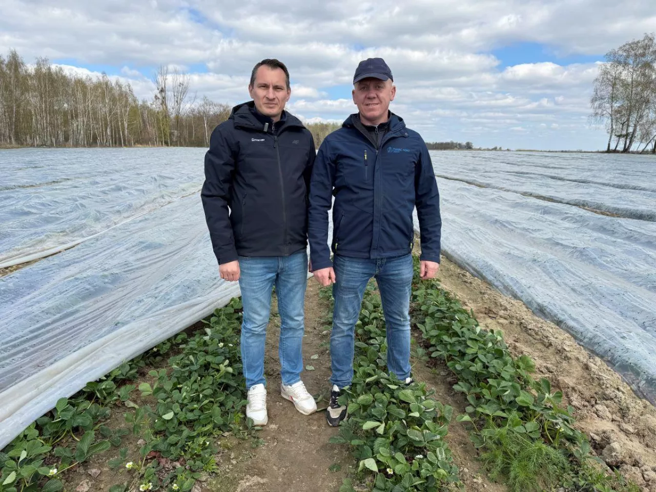 Jacek Witkowski, Timac Agro, Krzysztof Koniec, plantator jagodowych
