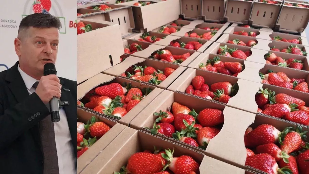 Czy truskawka da w tym roku zarobić? 