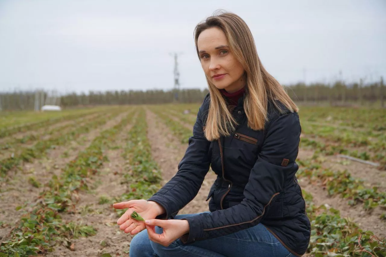 Izabela Majewska-Dudek