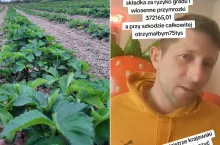 Problemy z ubezpieczeniami