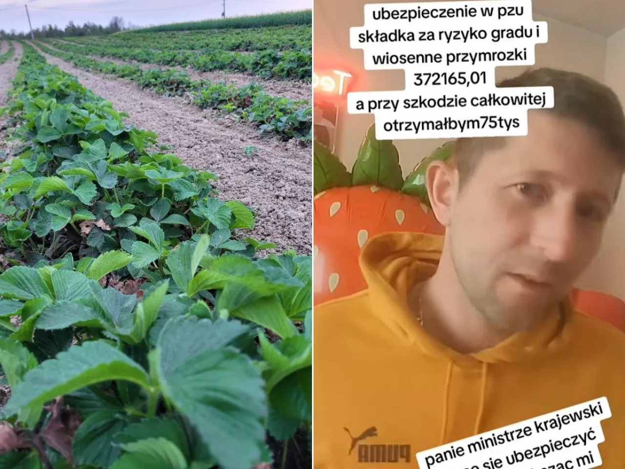 Problemy z ubezpieczeniami