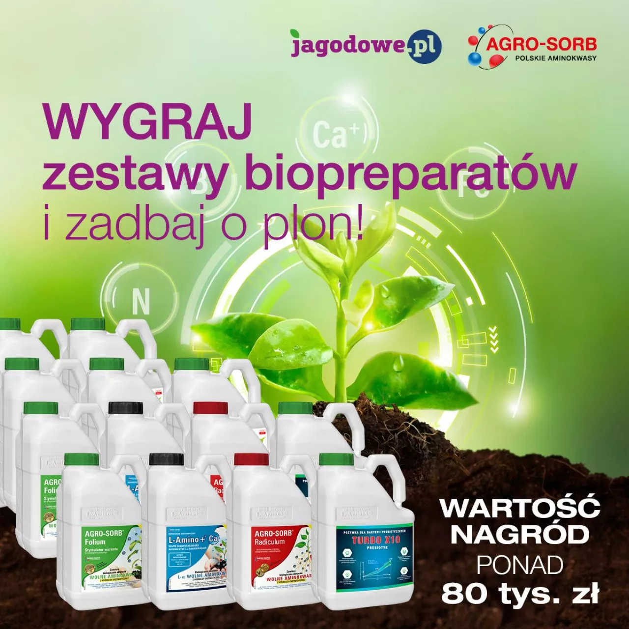 Agrosorb, jagodowe.pl