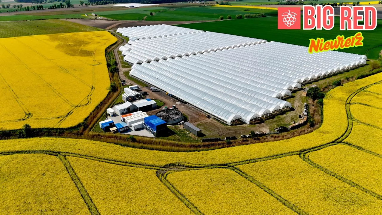 Obiekty produkcyjne BigRed berry farm