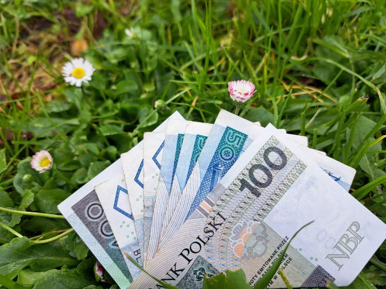 Rolnicy mogą dostać nawet 5 mln zł kredytu na 0,5 proc.