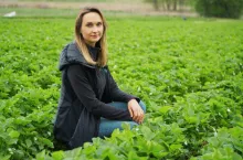 Izabela Majewska-Dudek, plantacja truskawek pod Białą Rawską 