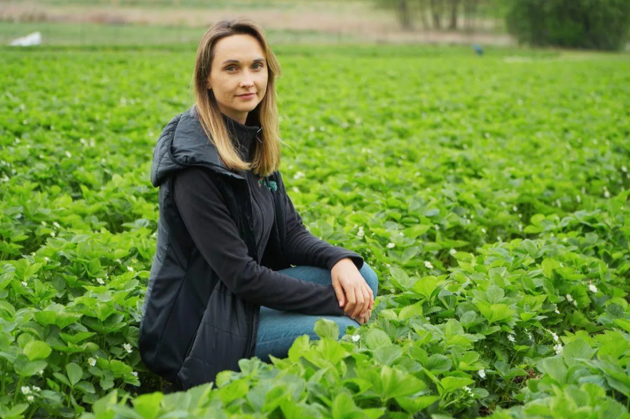 Izabela Majewska-Dudek, plantacja truskawek pod Białą Rawską 