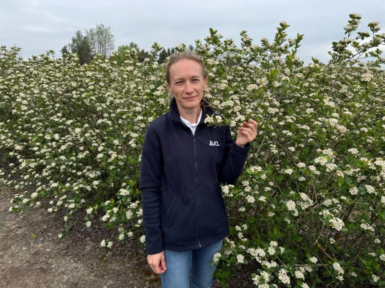 Dr inż. Diana Wieczorek, ICL, Aroniowa Demo Farma 2026