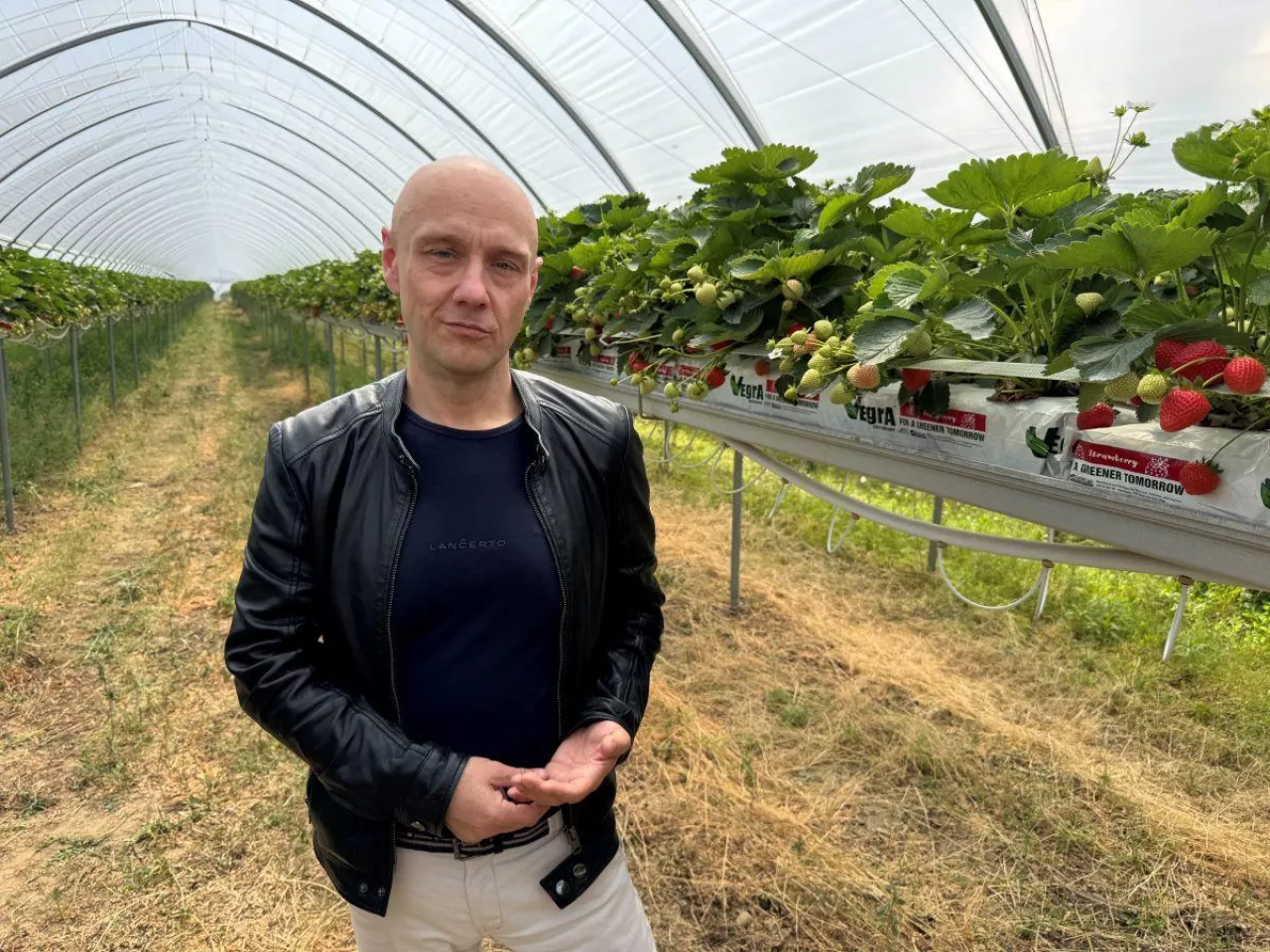 Jan Sitnicki, Vegra