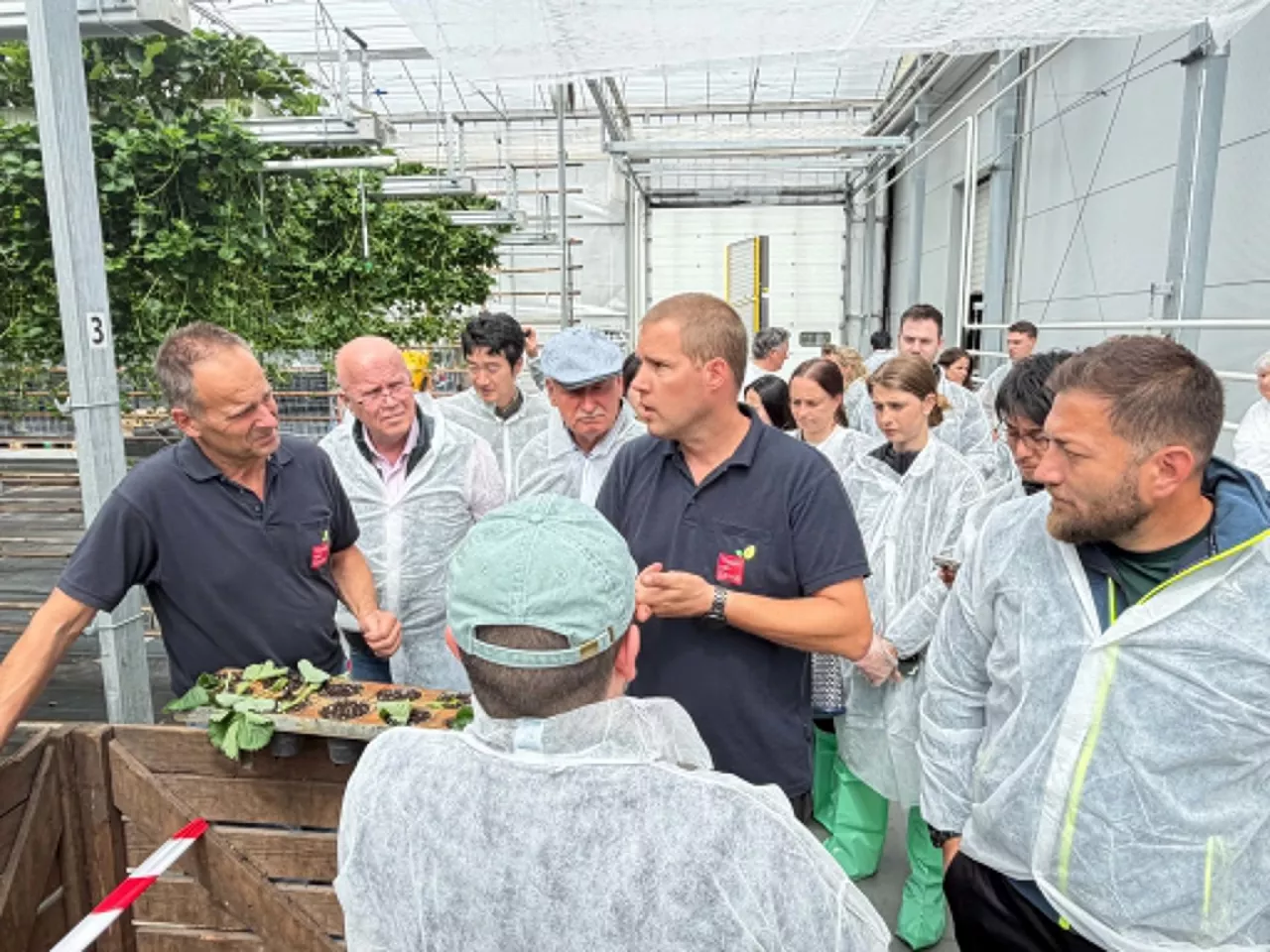 Grupa Delphy Summer Event w obiektach Thwan van Gennip