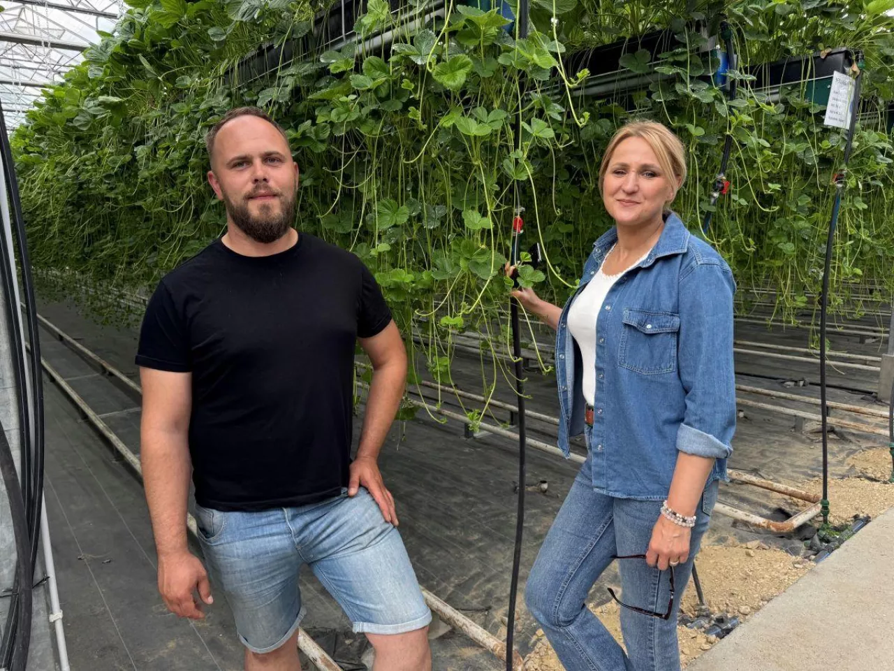Izabela Witczak, Łukasz Palka, Boryna
